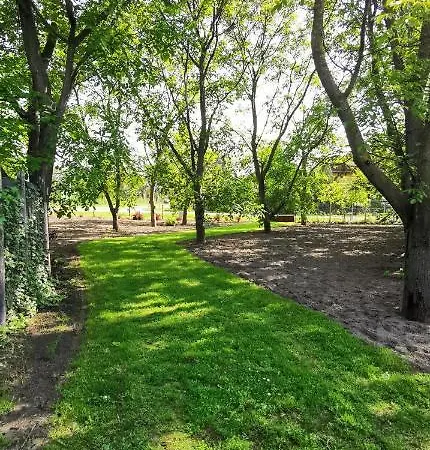 شقة Szent Erzsebet Apartmanhaz *